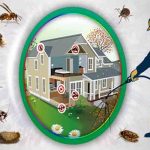 Top Pest Control Tips: Effective Home Solutions